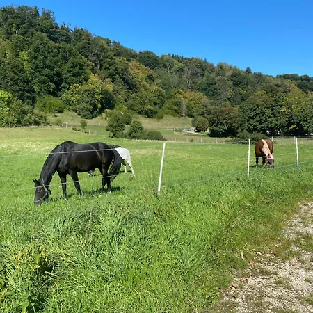 Am Moehntal Apartamento