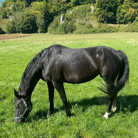 Apartamento Am Moehntal